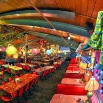 Lynn&rsquo;s Paradise Cafe