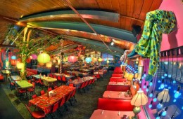 Lynn&rsquo;s Paradise Cafe